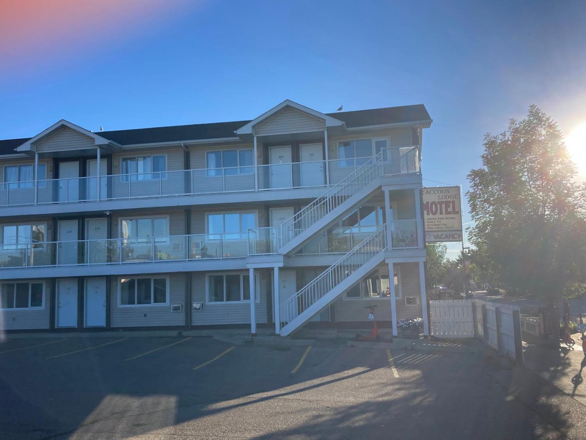 Raccoon Lodge Motel Sylvan Lake Extérieur photo
